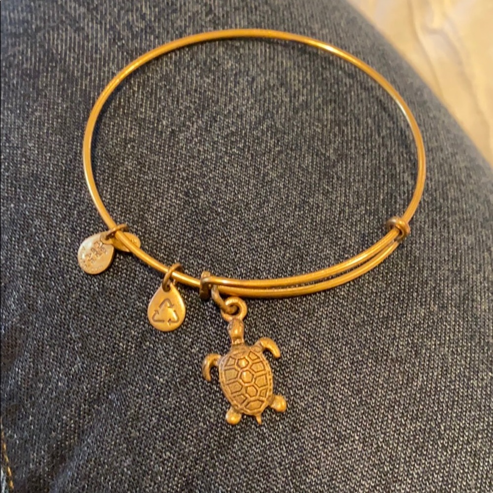 Alex and Ani Turtle Gold Bracelet